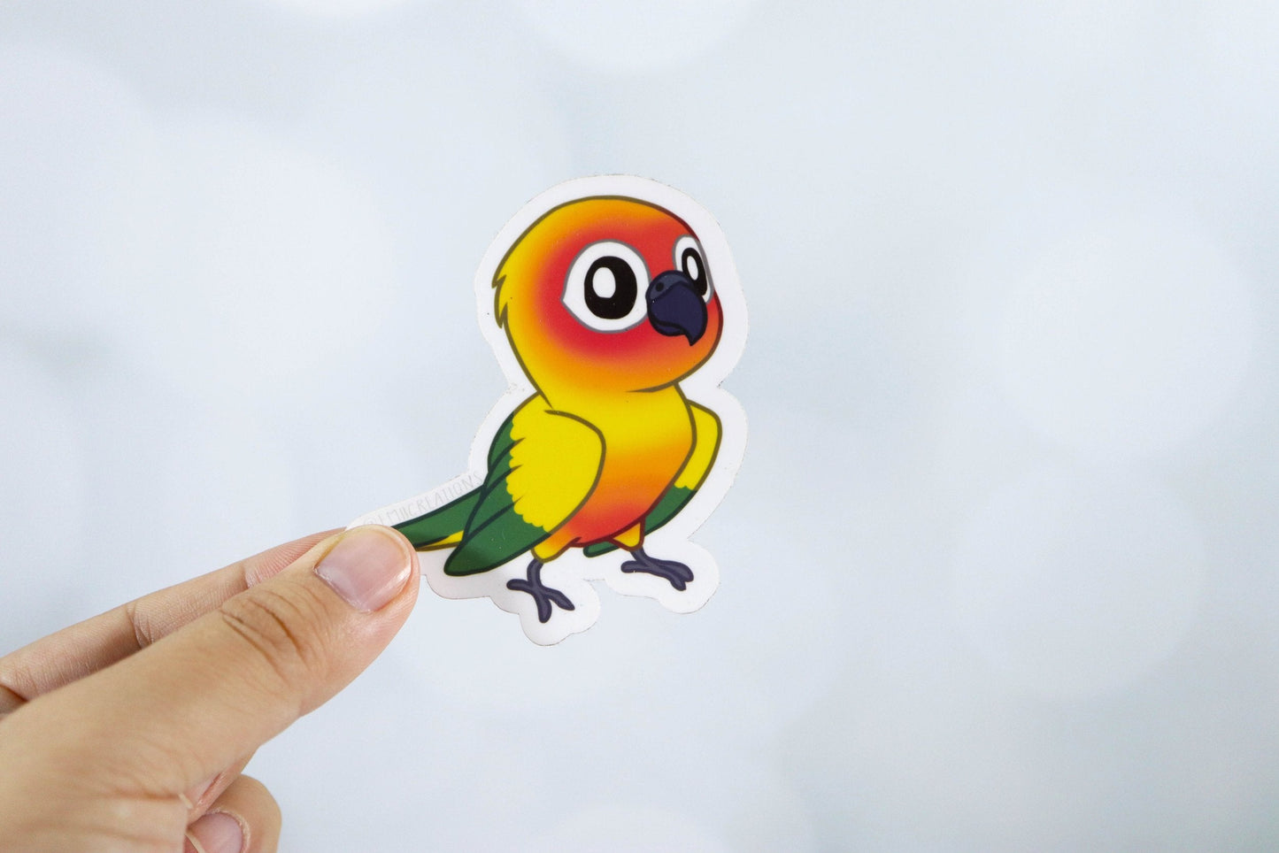 Cute Small Bird Conure Sun Stickers