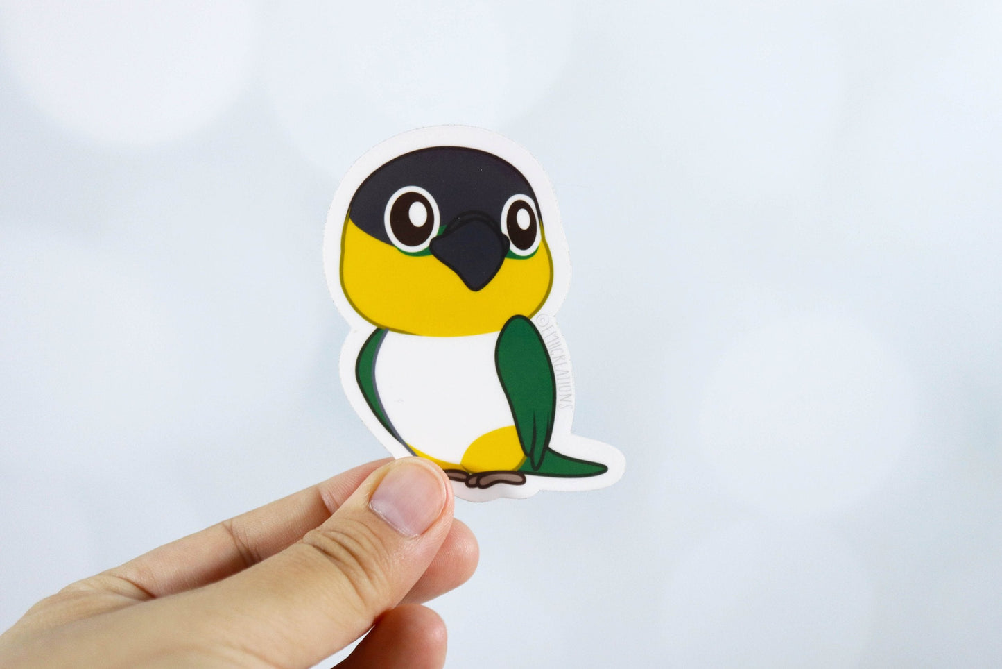 Cute Caique Black-headed Parrot Bird Stickers