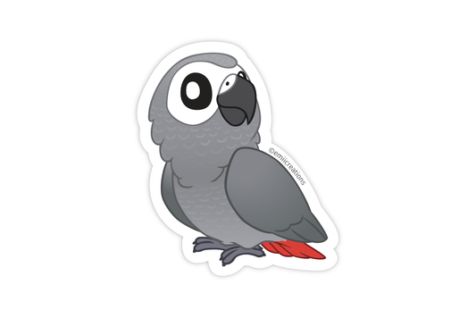 Cute Parrot African Gray Bird Stickers
